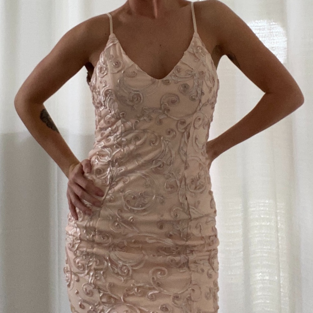 NWT Blush Pink Windsor Cocktail Dress
